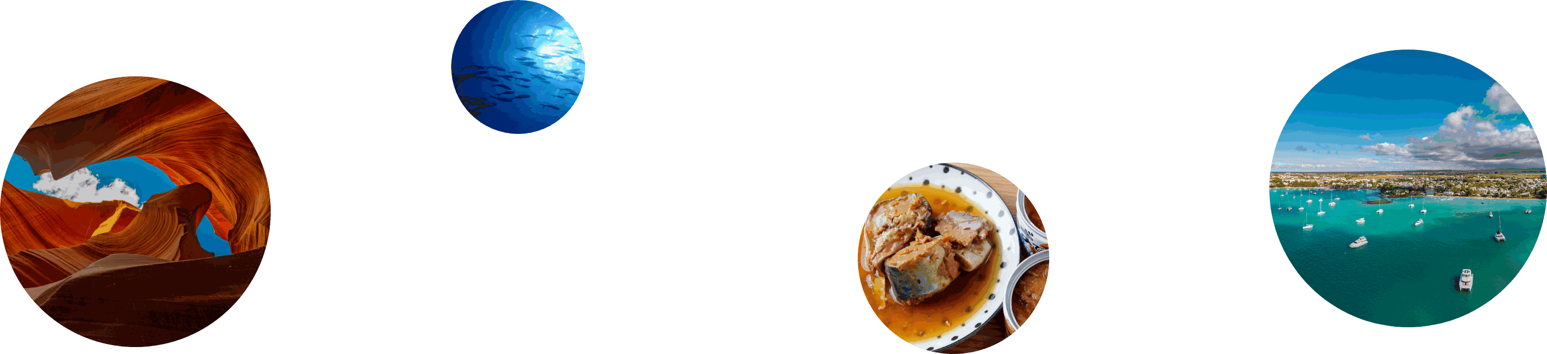 自分にぴったりな企業を探す