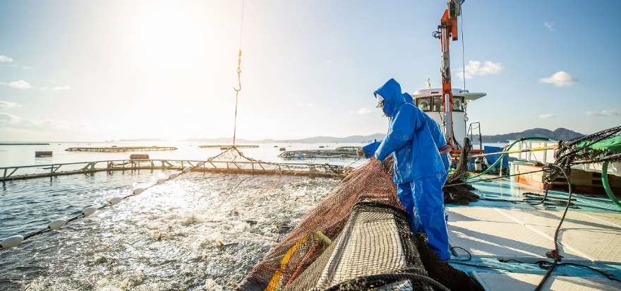 Umios AQUA株式会社