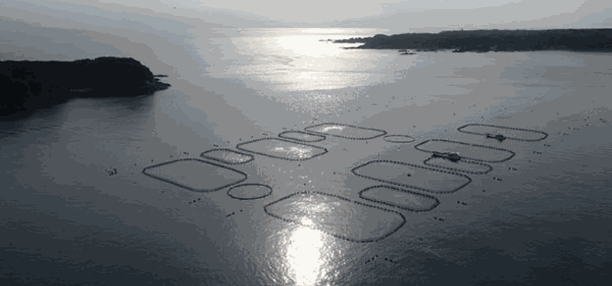 Umios Marine株式会社