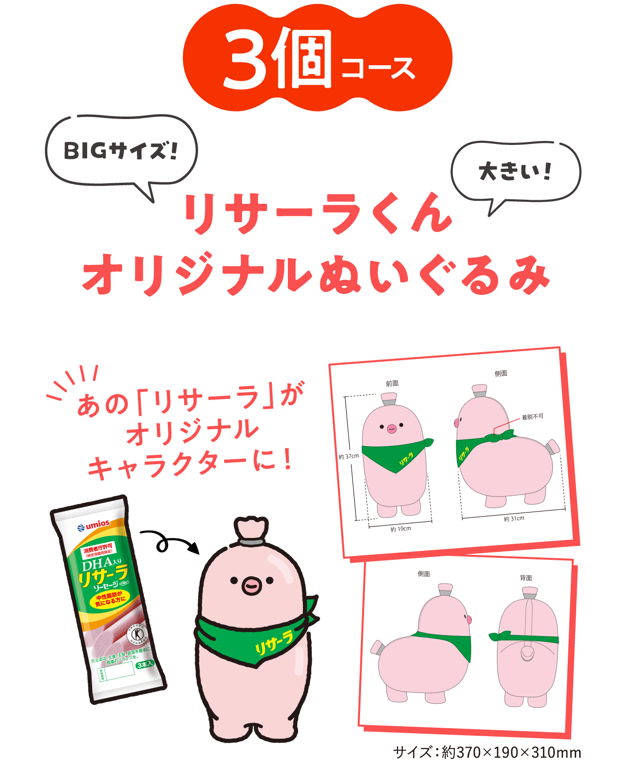 3個コース：「BIGサイズ」リサーラくんオリジナルぬいぐるみ（サイズ：約370×190×310mm）＜40名様＞